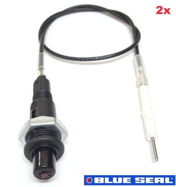 Blueseal Fryer Ignition Units 2X (Electrode/Ignitor/Lead) 020119 227508 18095